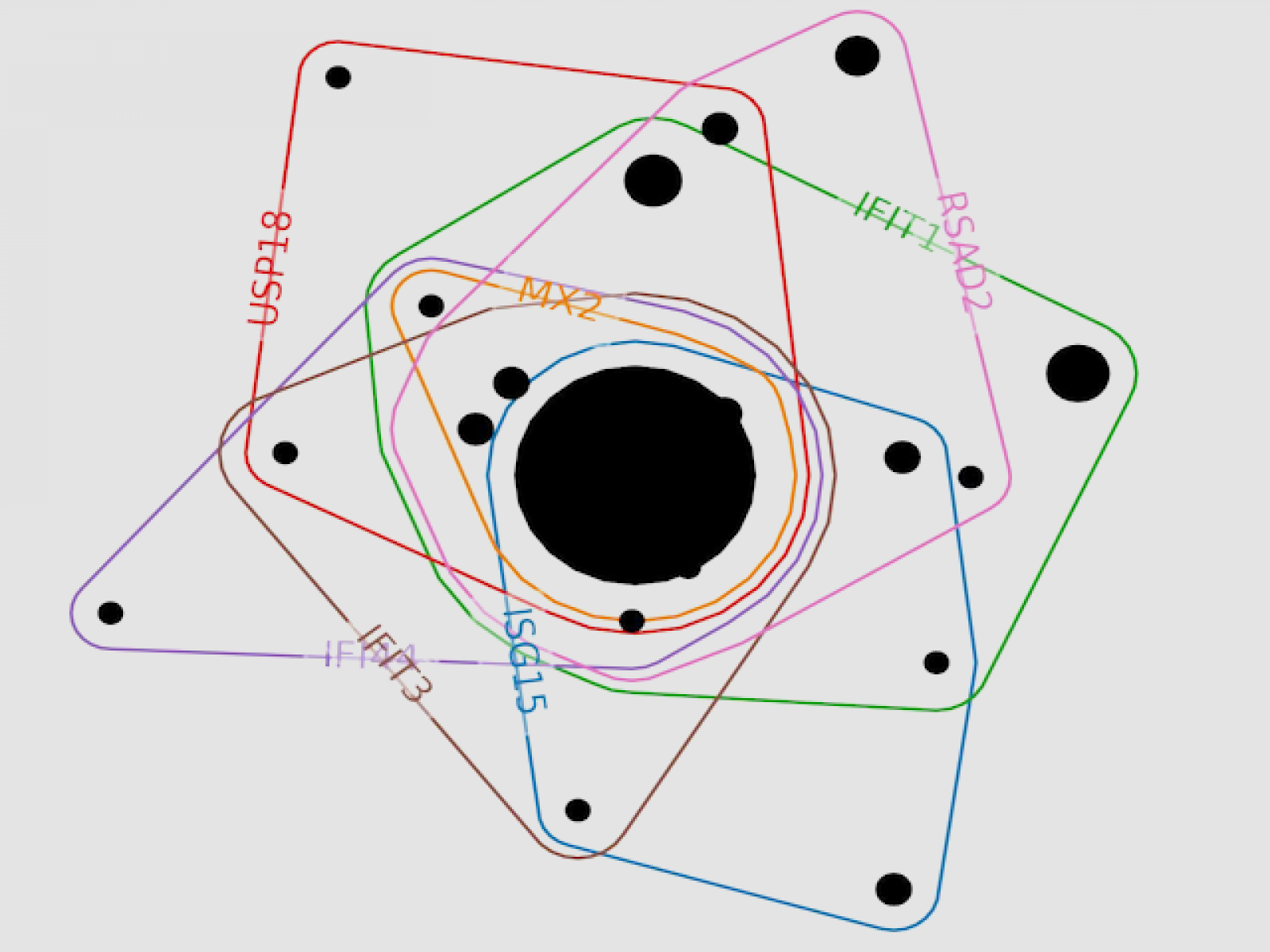 Hypergraph of a biological system