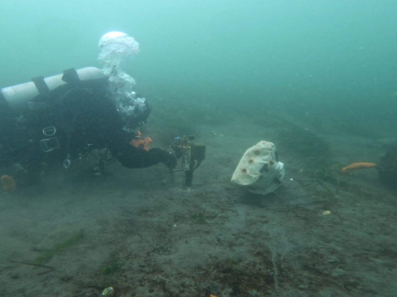 PNNL diver underwater handling some sort of sensor