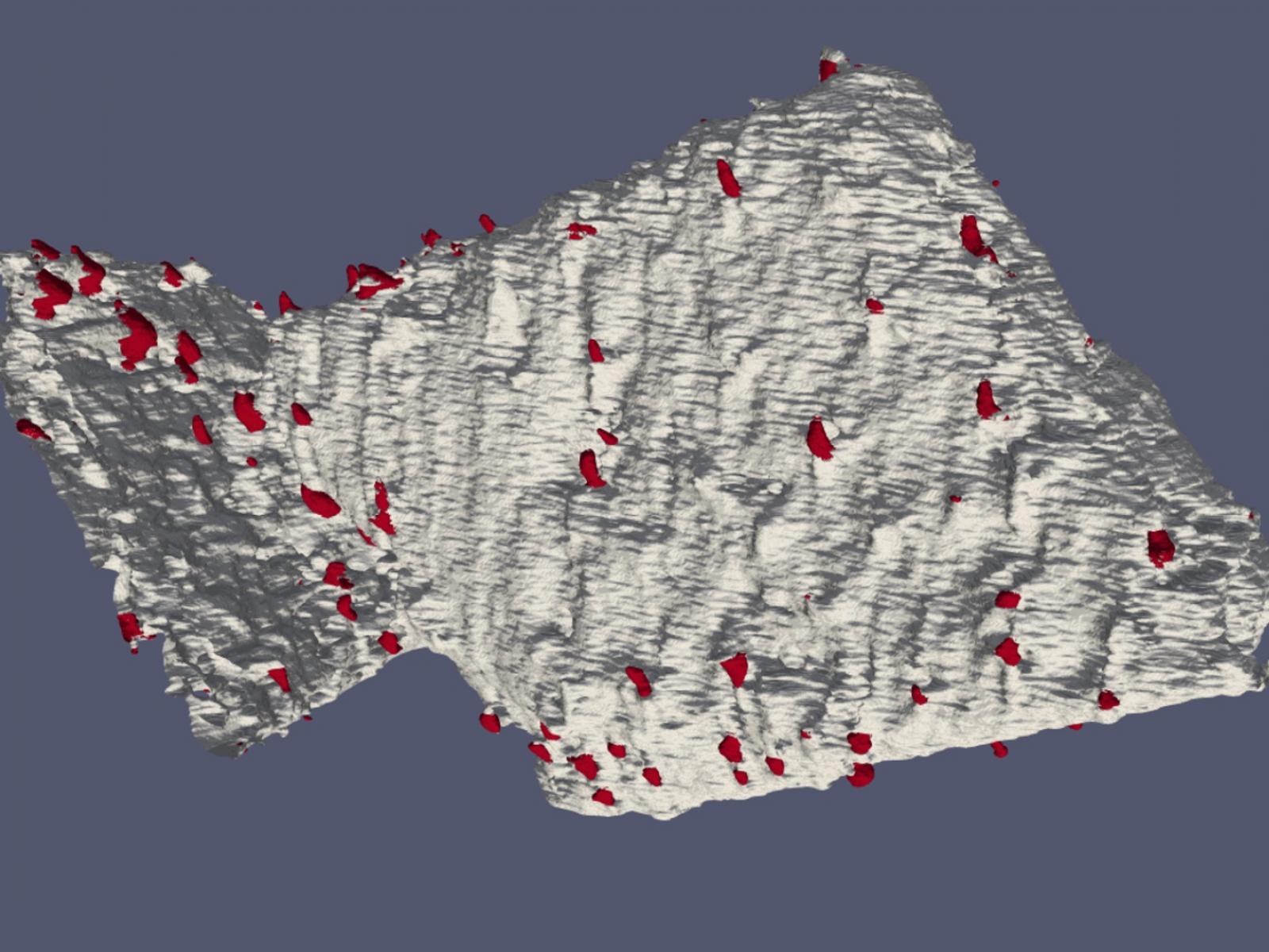 Assembled 3D tomogram image of platinum nanoparticles, colored red, on gray colored alumina support.