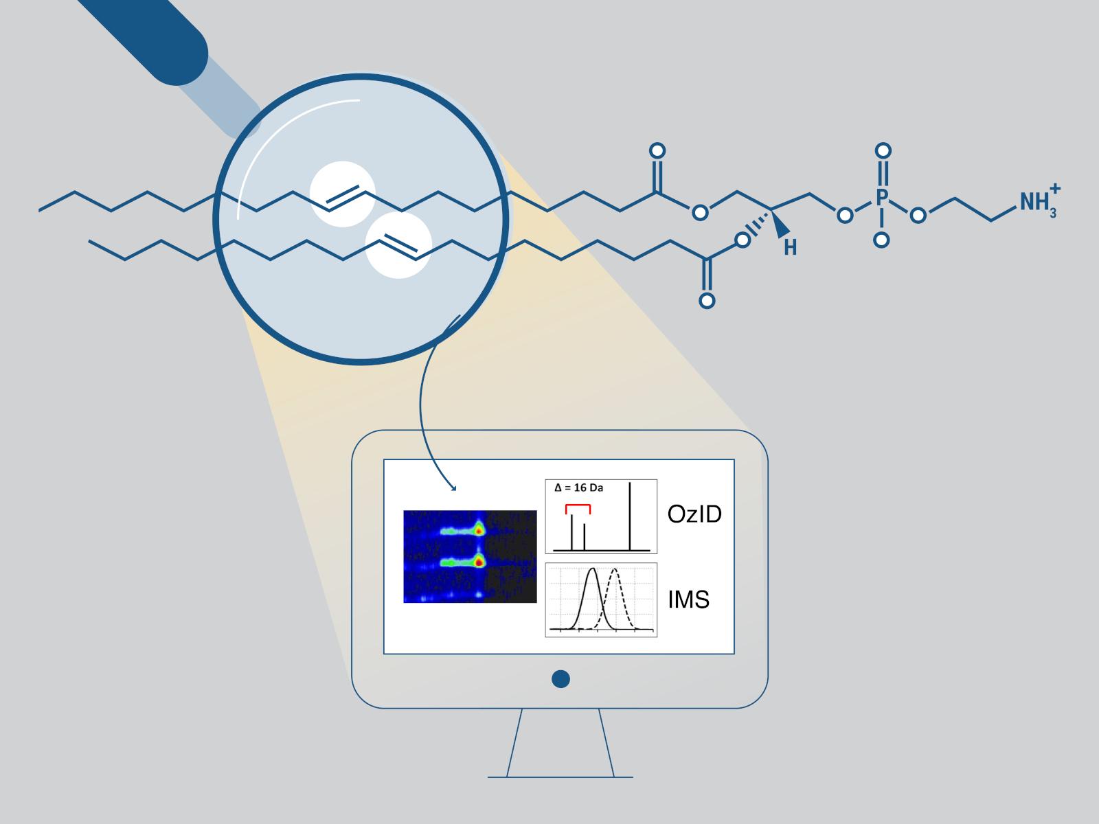 A schematic of a computer program on a screen. Part of the screen is magnified to show a complex molecule with the double bonds identified.