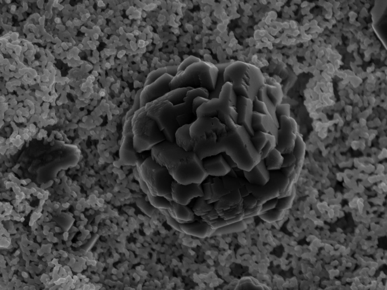 Electron microscope image of a carbonate mineral