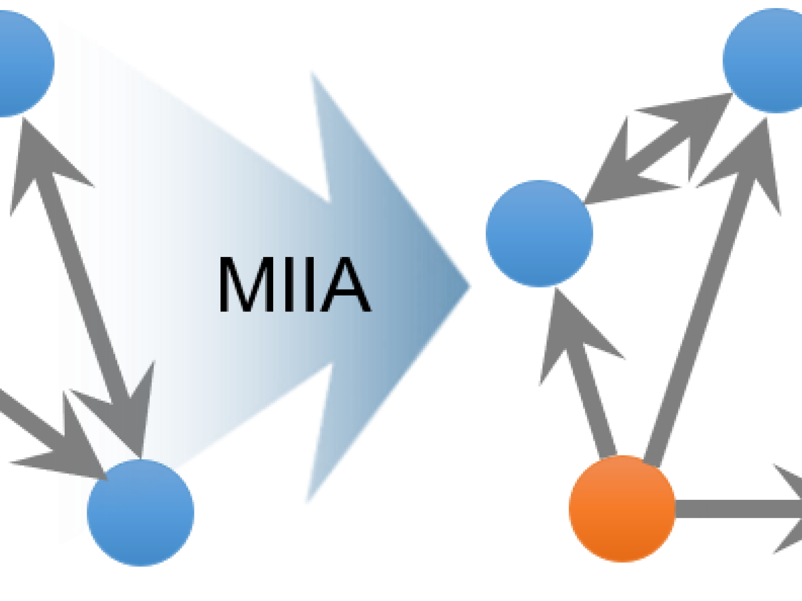 Model of MIIA Framework