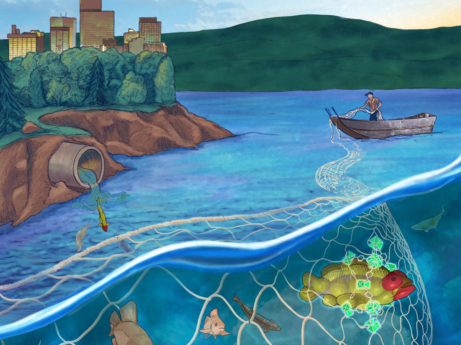 Illustration of a fisherman with a net in the water, and the fish look like molecules