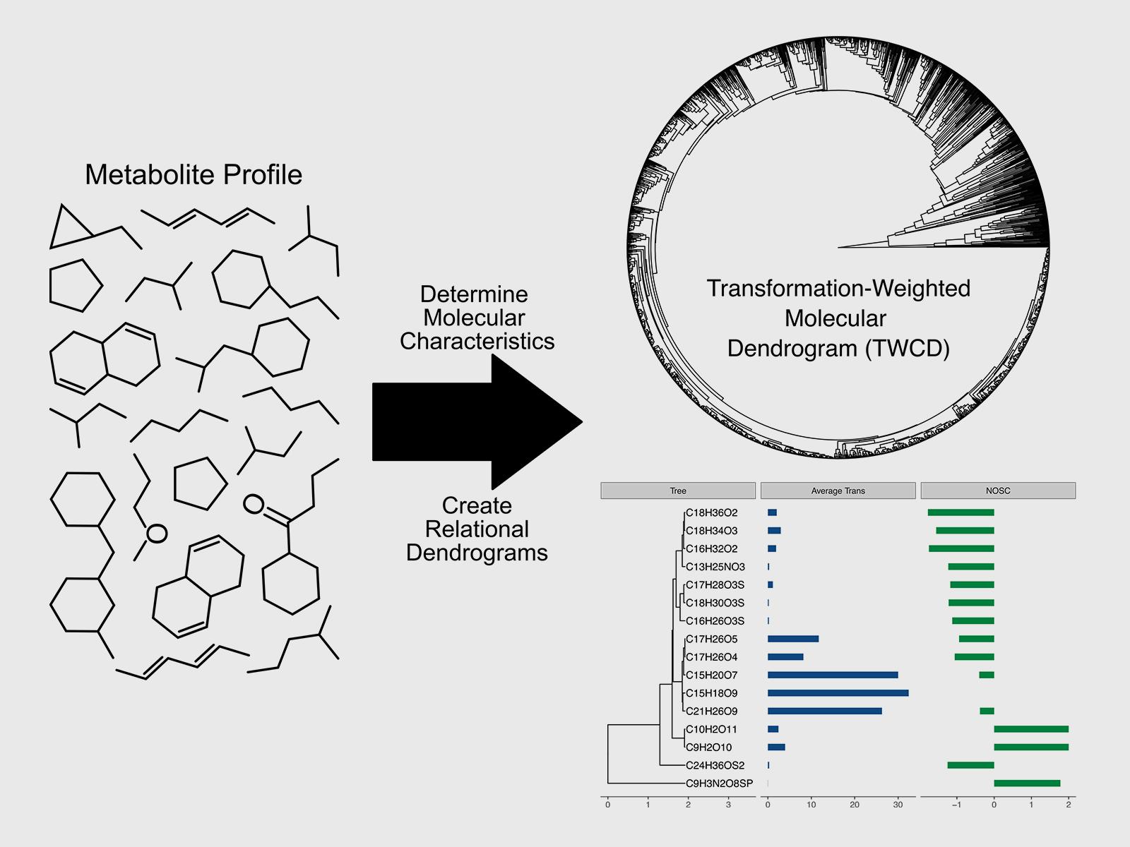 schematic of molecular structures being organized into diagrams with many branches