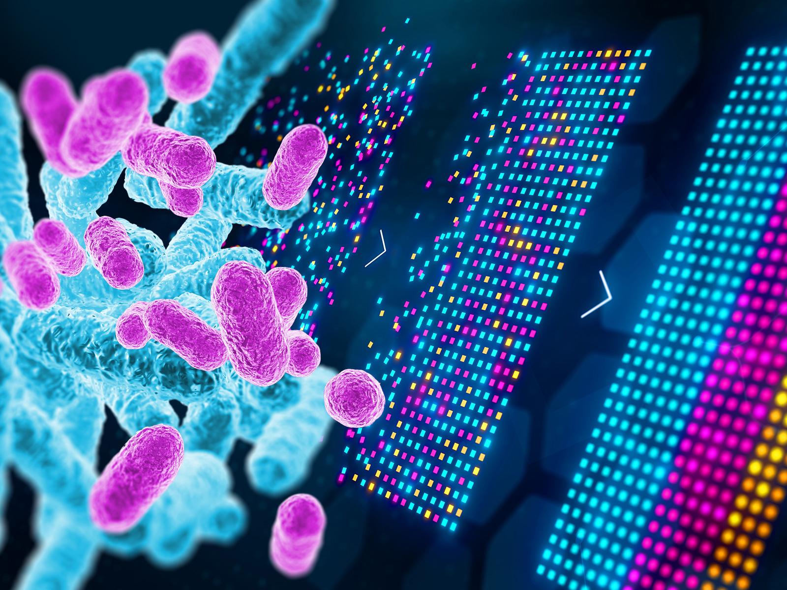 Composition of biology and computing images