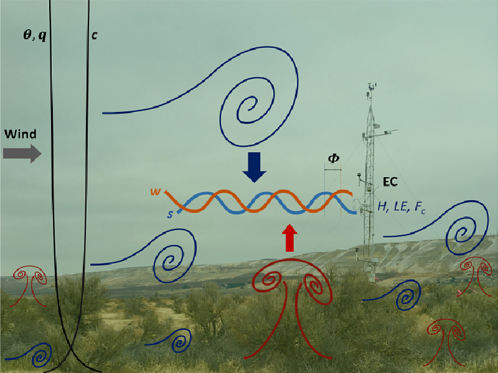 Eddy covariance diagram
