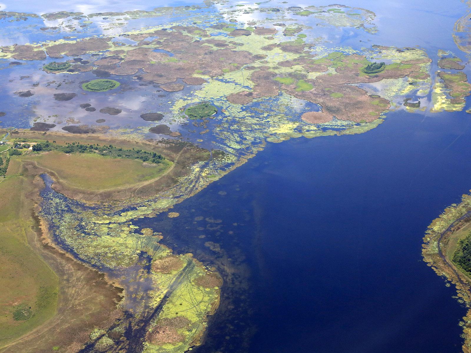 Okeechobee