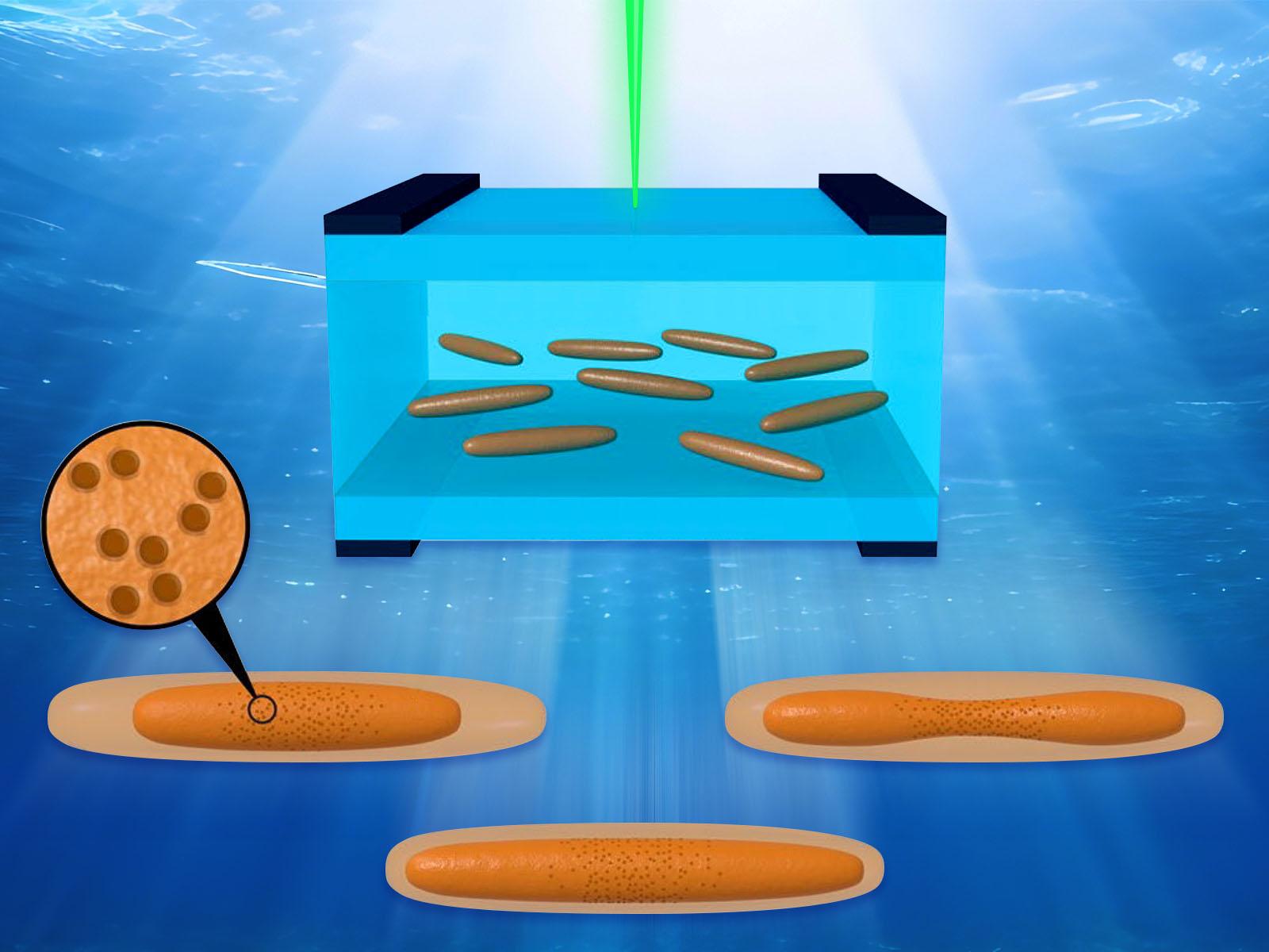 Illustration showing akaganeite nanorods dissolving differently under different conditions