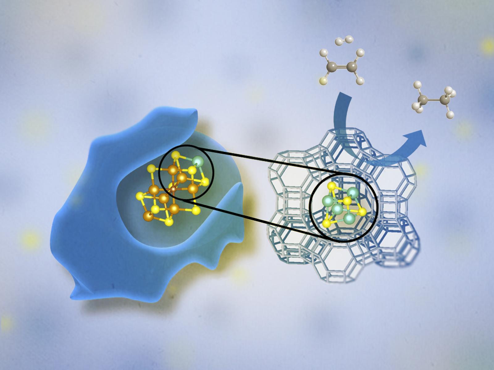 tetranuclear (Mo4S4) molybdenum sulfide cluster 