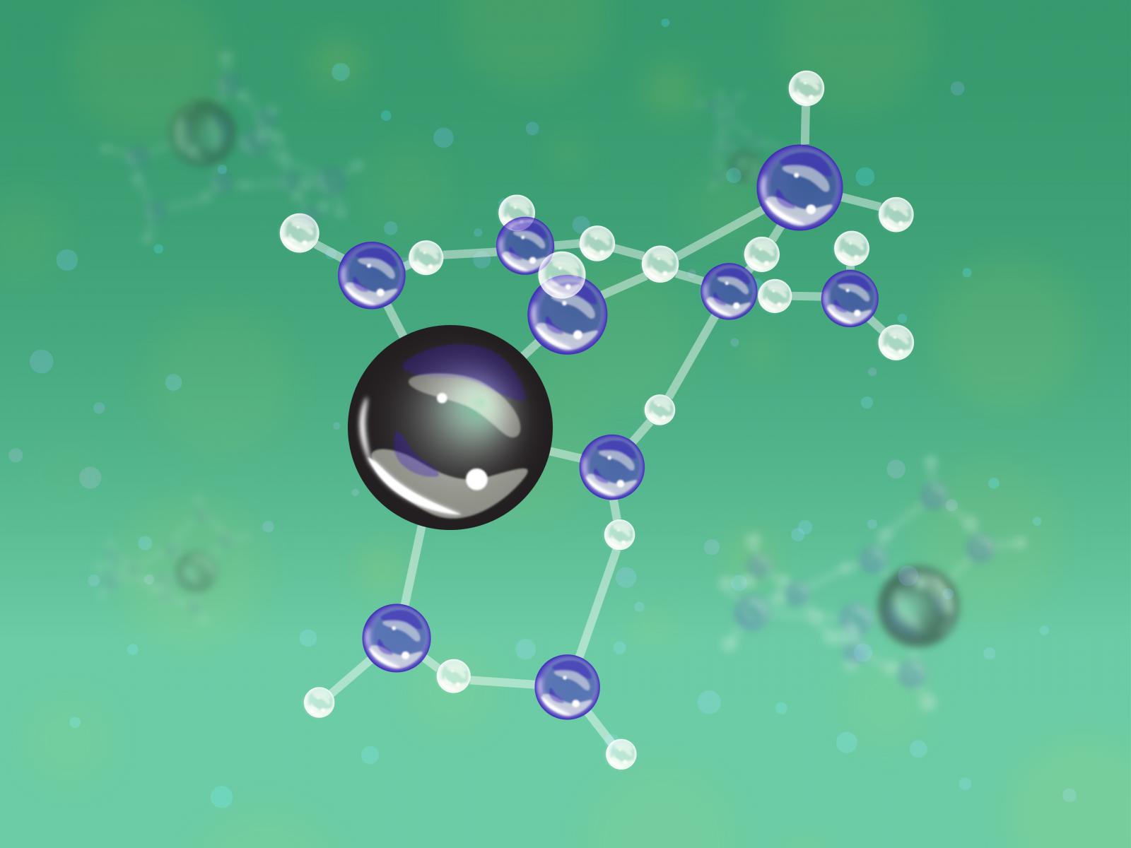 Water molecules with an ion