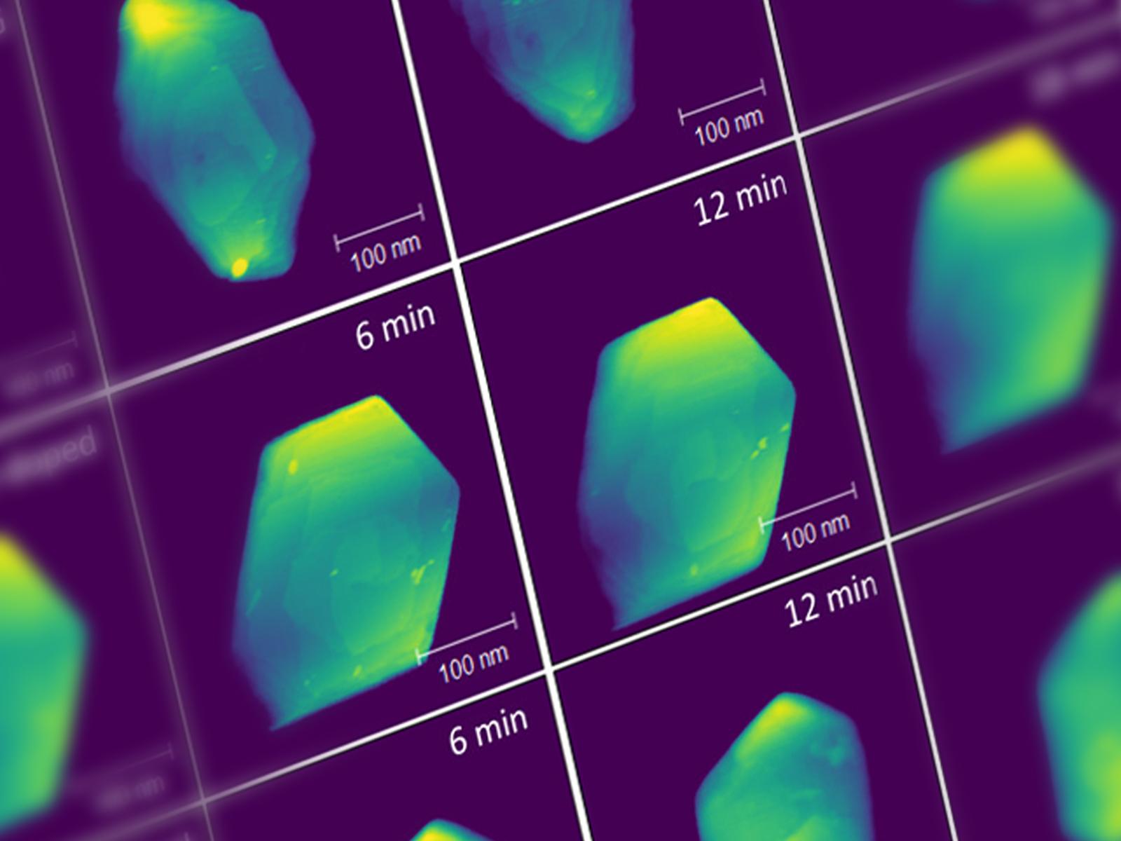 close up of multicolored electron microscope images