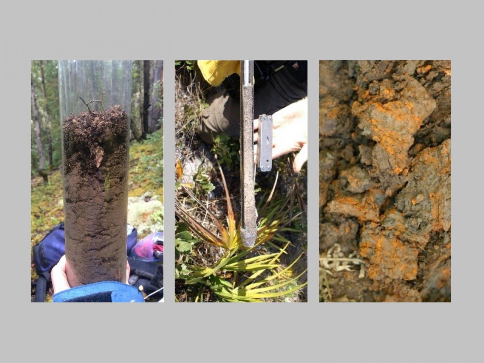Composite of three different images of soil cores with different textures