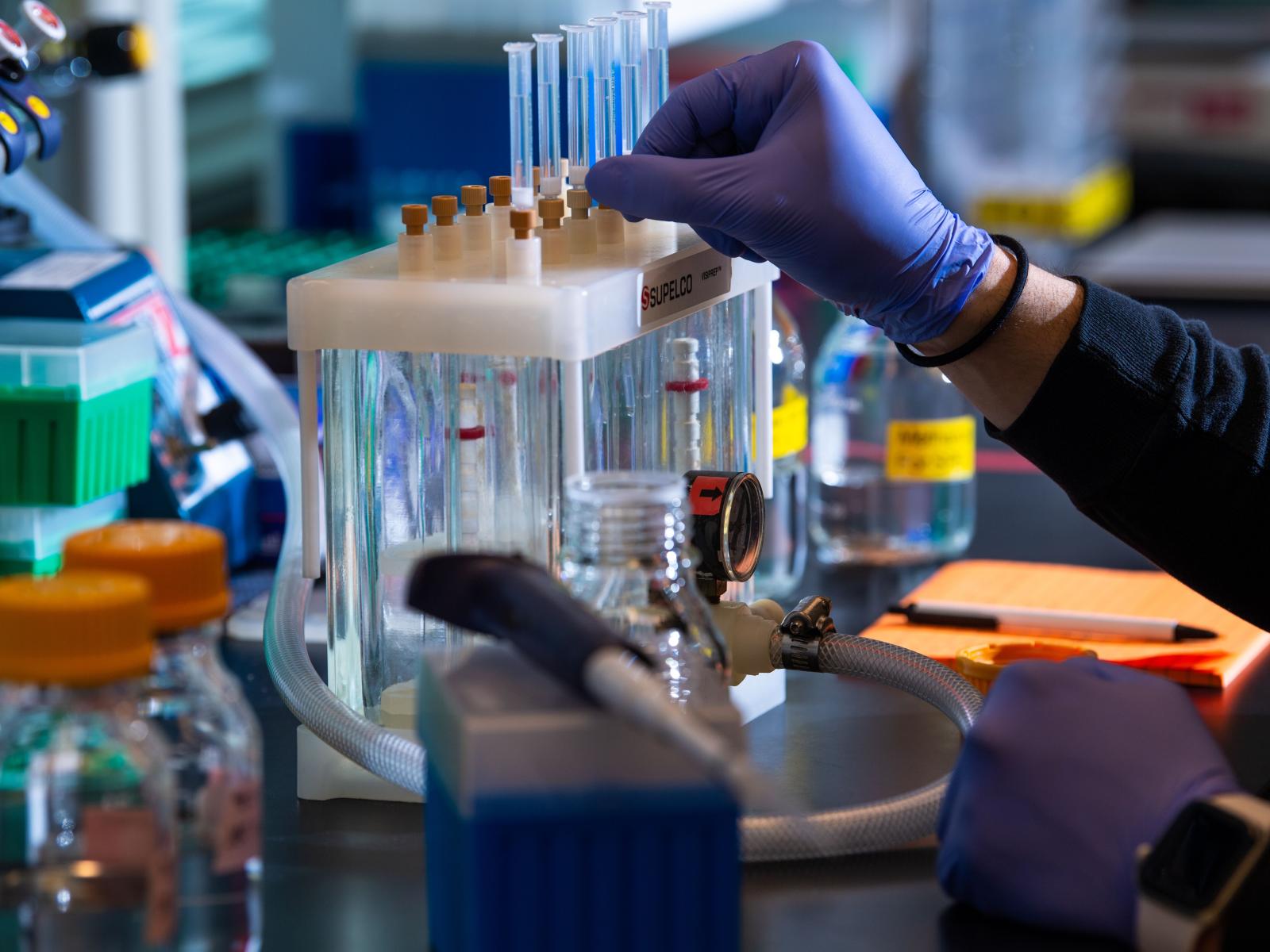 Photo of a researcher wearing gloves, securing test tubes to a vacuum manifold.
