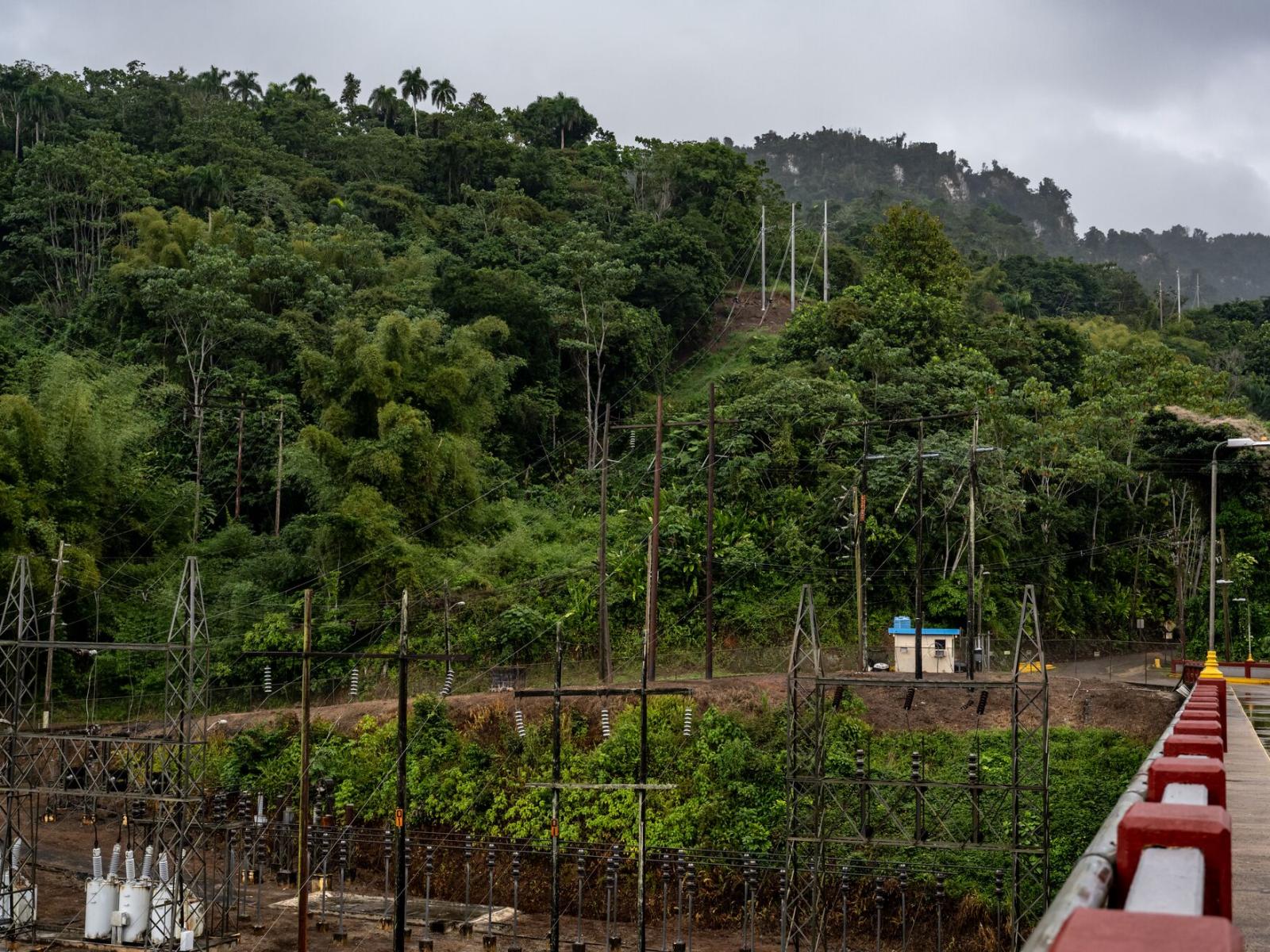 Photo shows utility poles and utility lines on a forested hill in Puerto Rico, which is striving for a fully renewable energy fueled power grid by 2050.