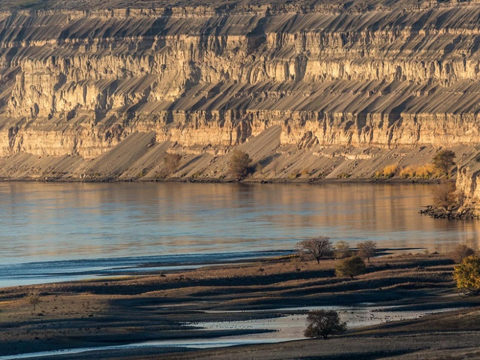 Photo of river's edge