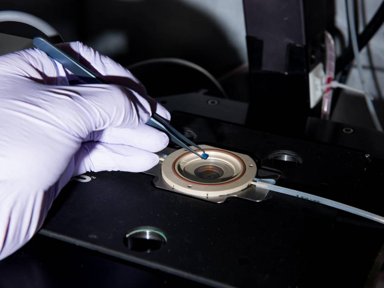 one-of-a-kind irradiation atomic force microscope