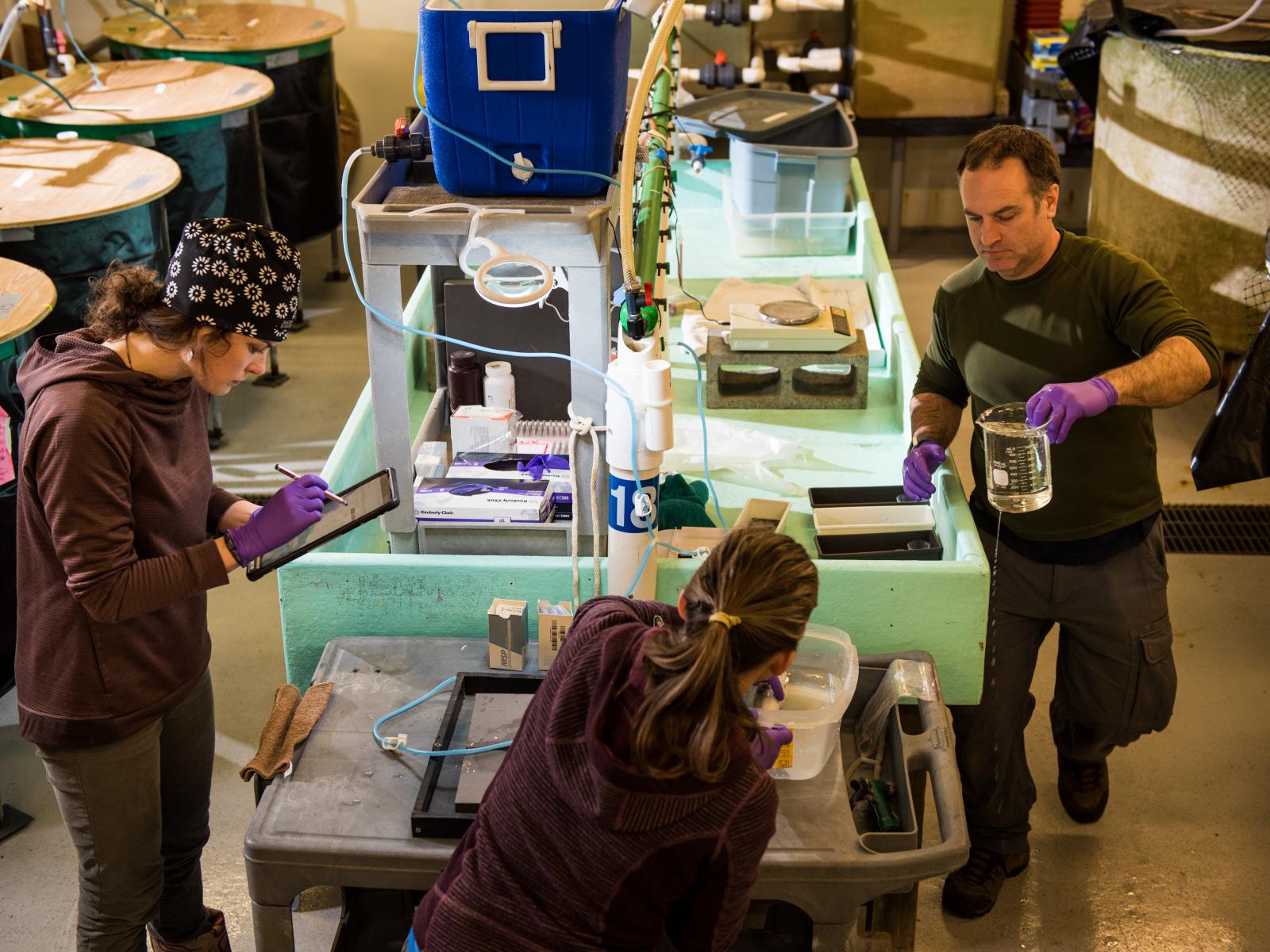 Researchers at the Marine and Coastal Research Laboratory
