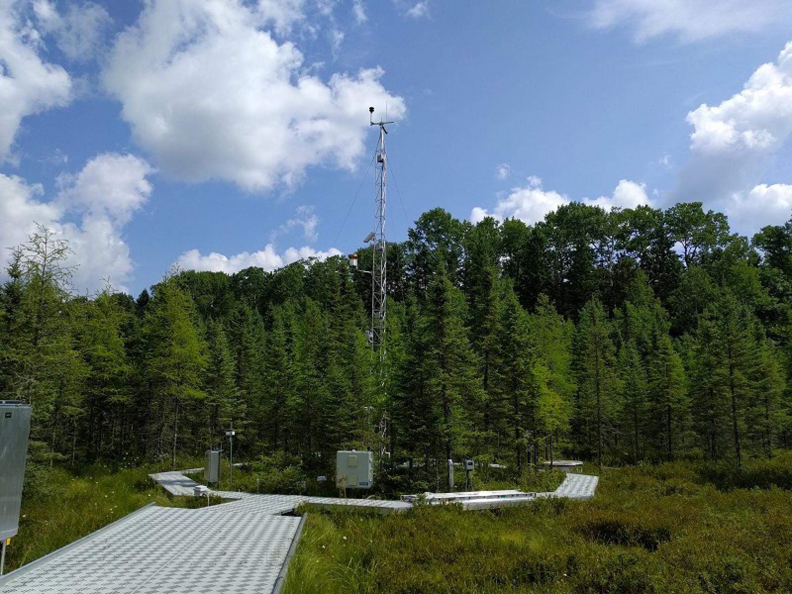 Peatland