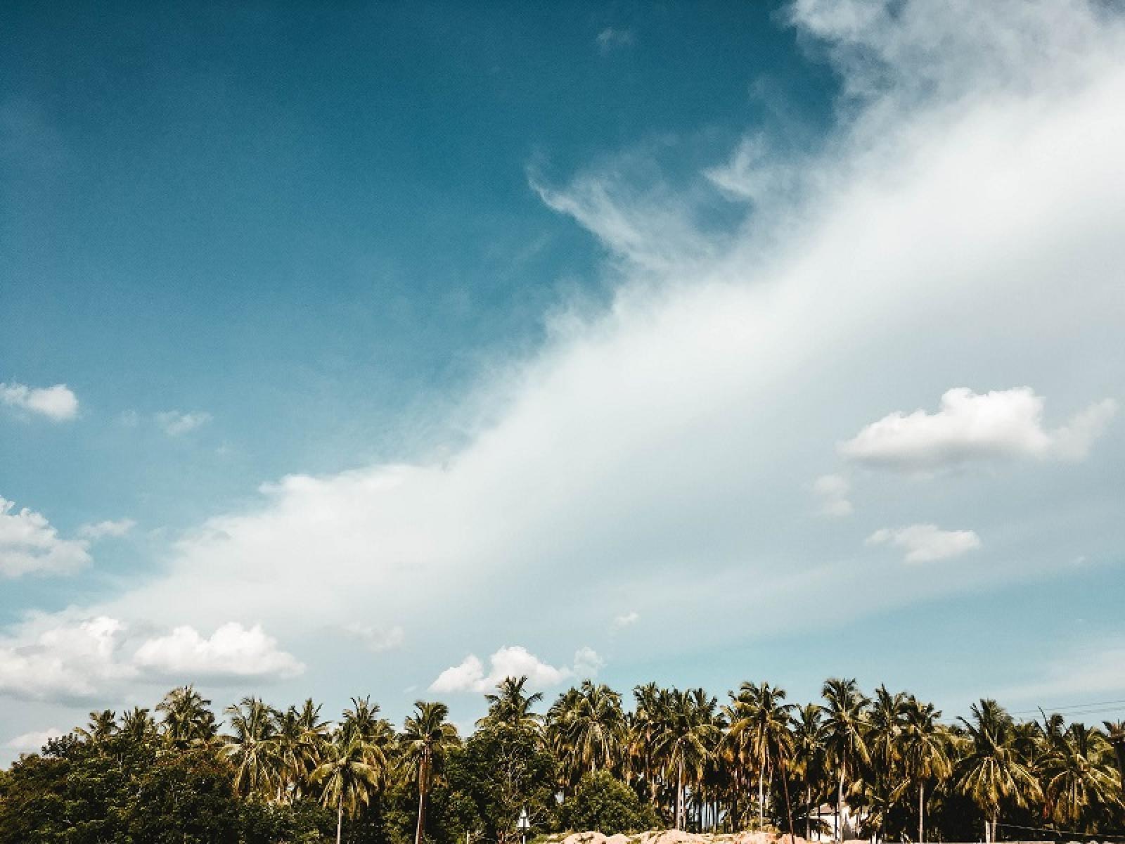 Tropical cloud band