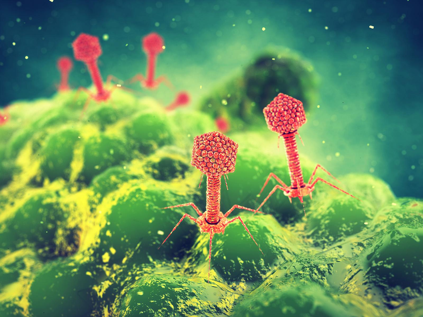 Viruses and microbes