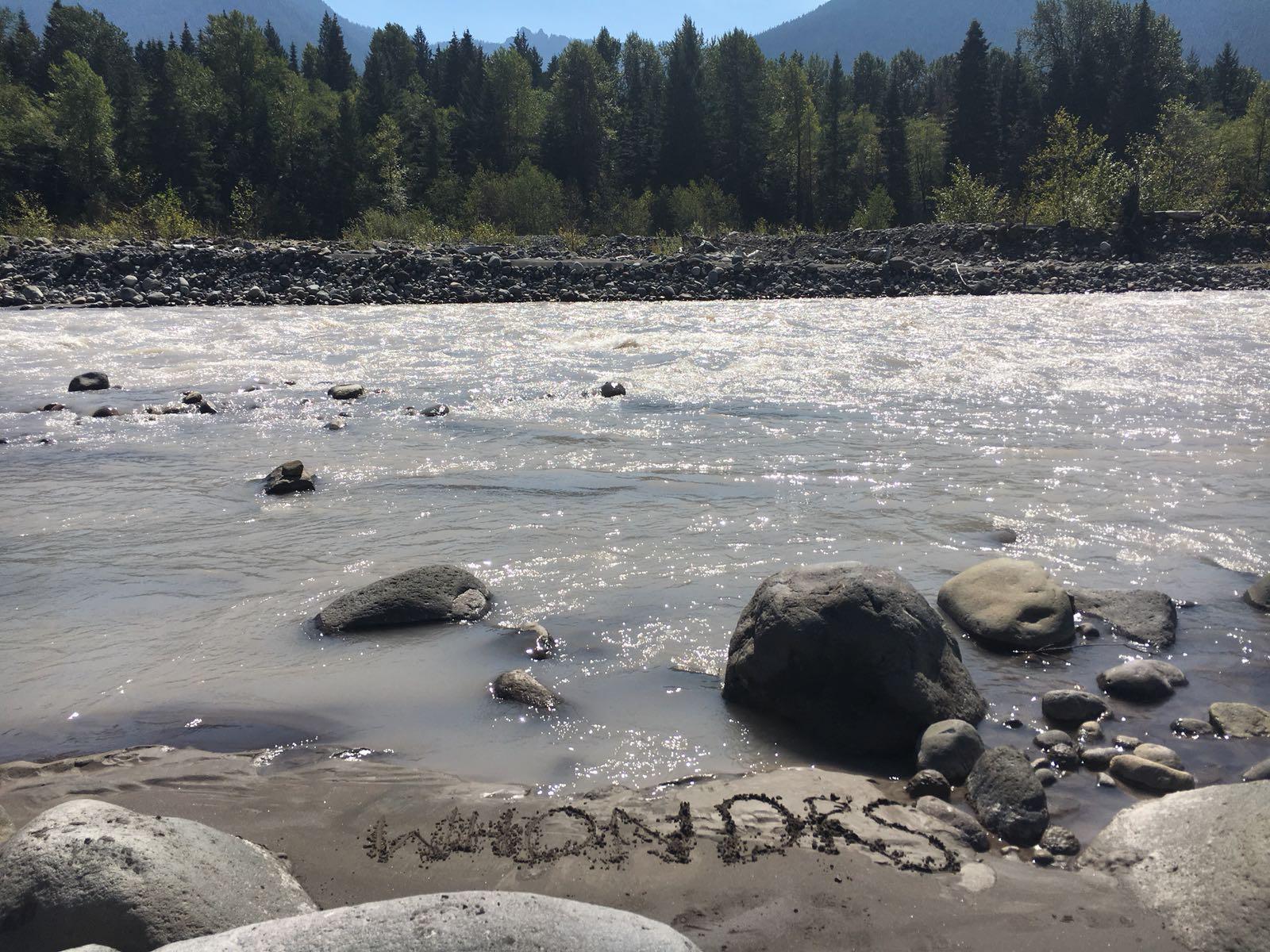 WHONDRS on Nisqually River