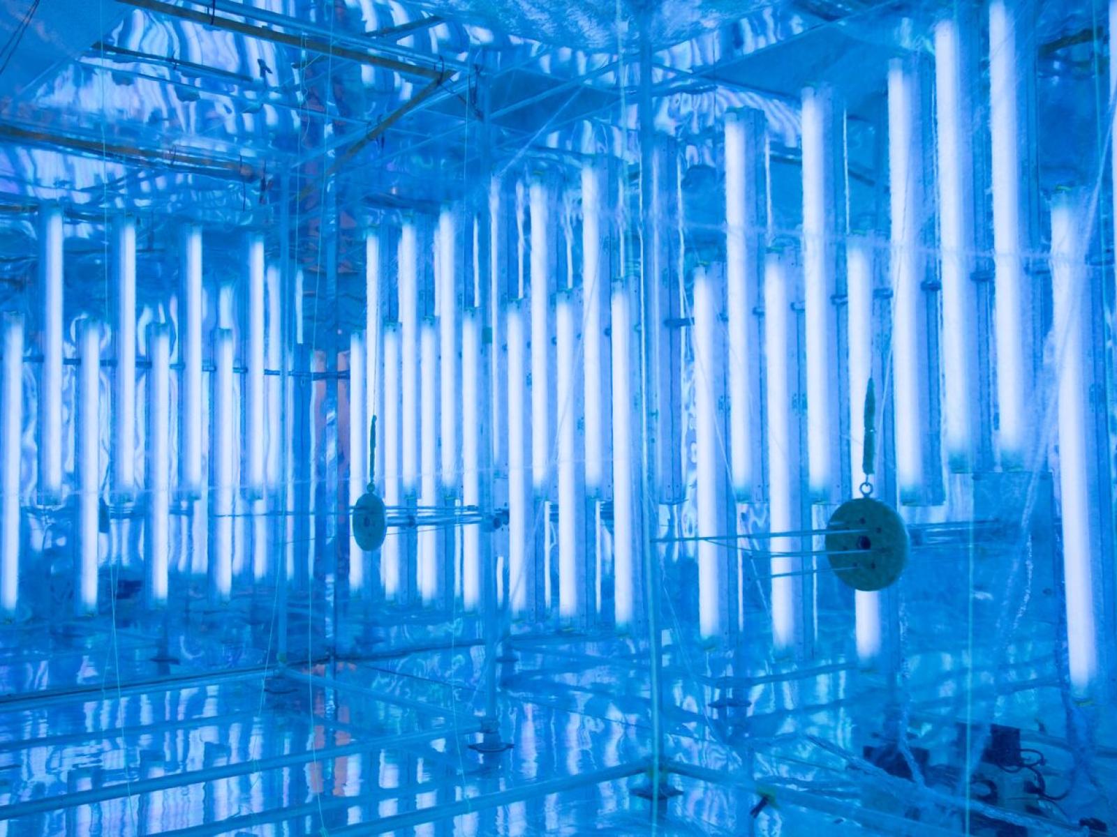 Ultraviolet lights inside the Atmospheric Measurements Laboratory environmental chamber