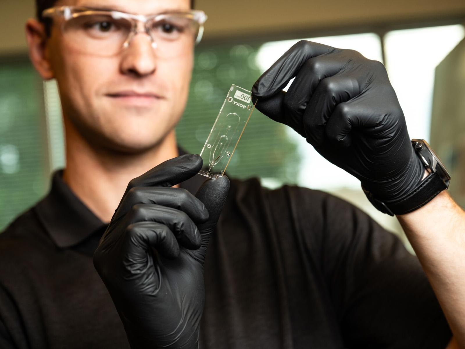 A cell sorter chip funnels and sorts microbes in samples.