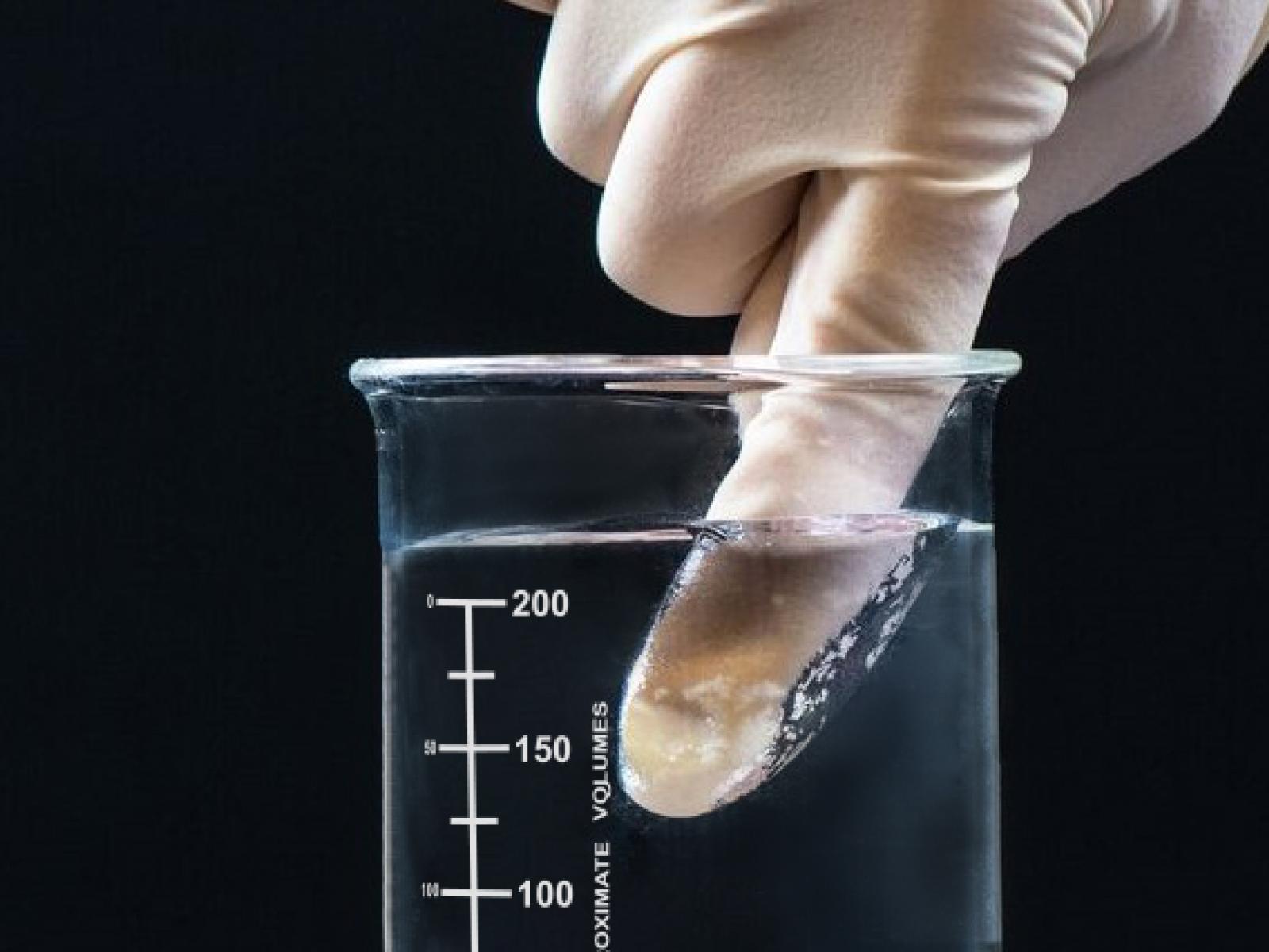 ElastiDry is a superhydrophobic material that completely repels liquids.