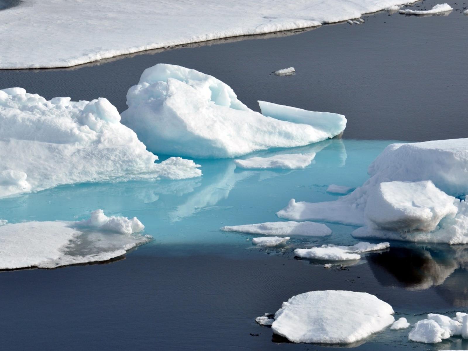 Photograph of chunks of sea ice