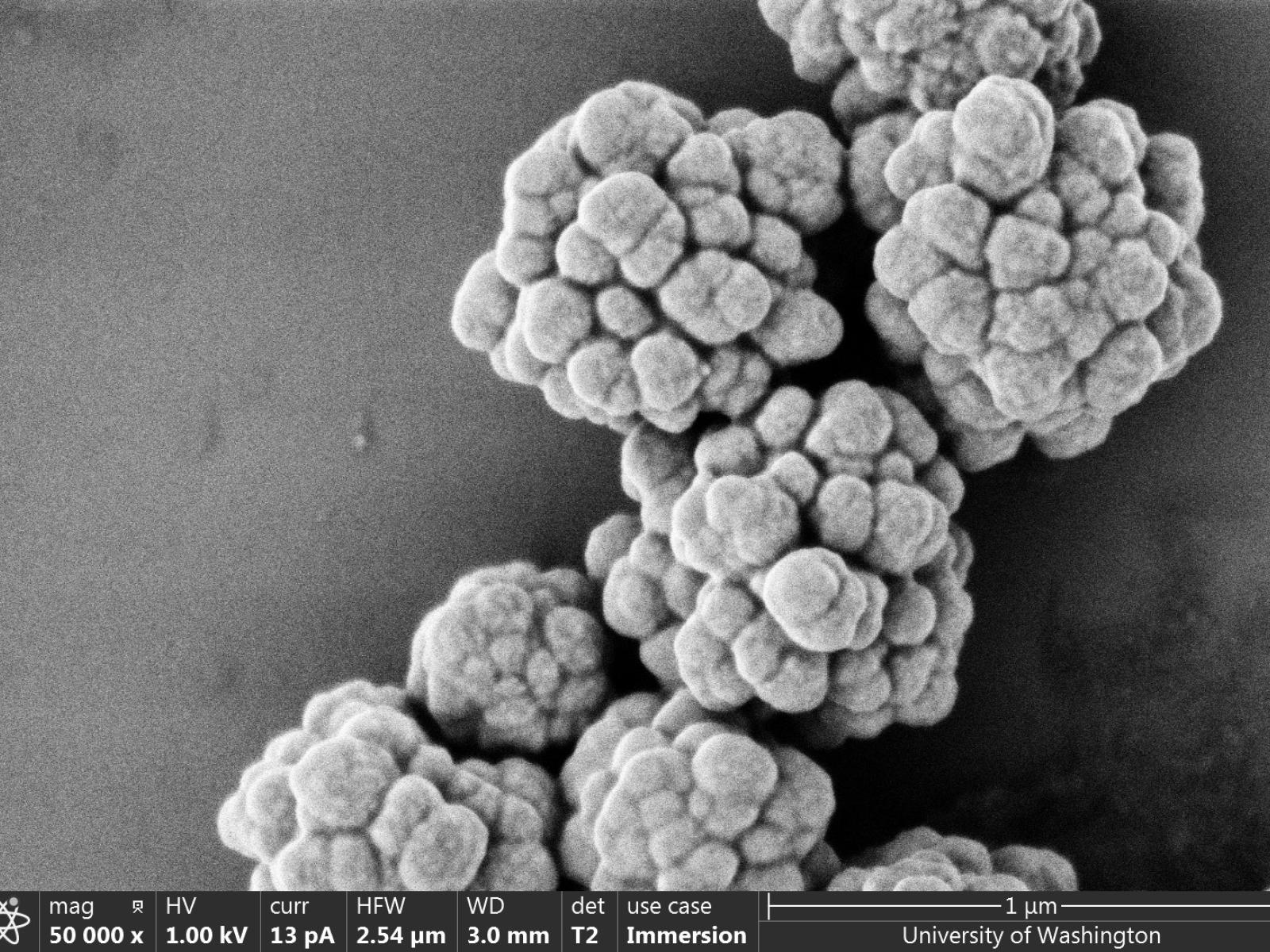 Electron microscope image of NaYF nanostructures