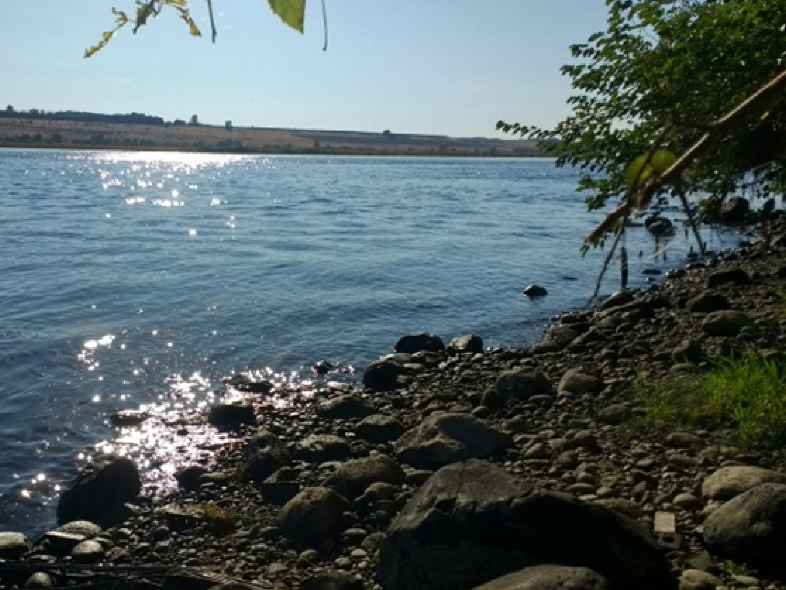 river bank on a sunny day