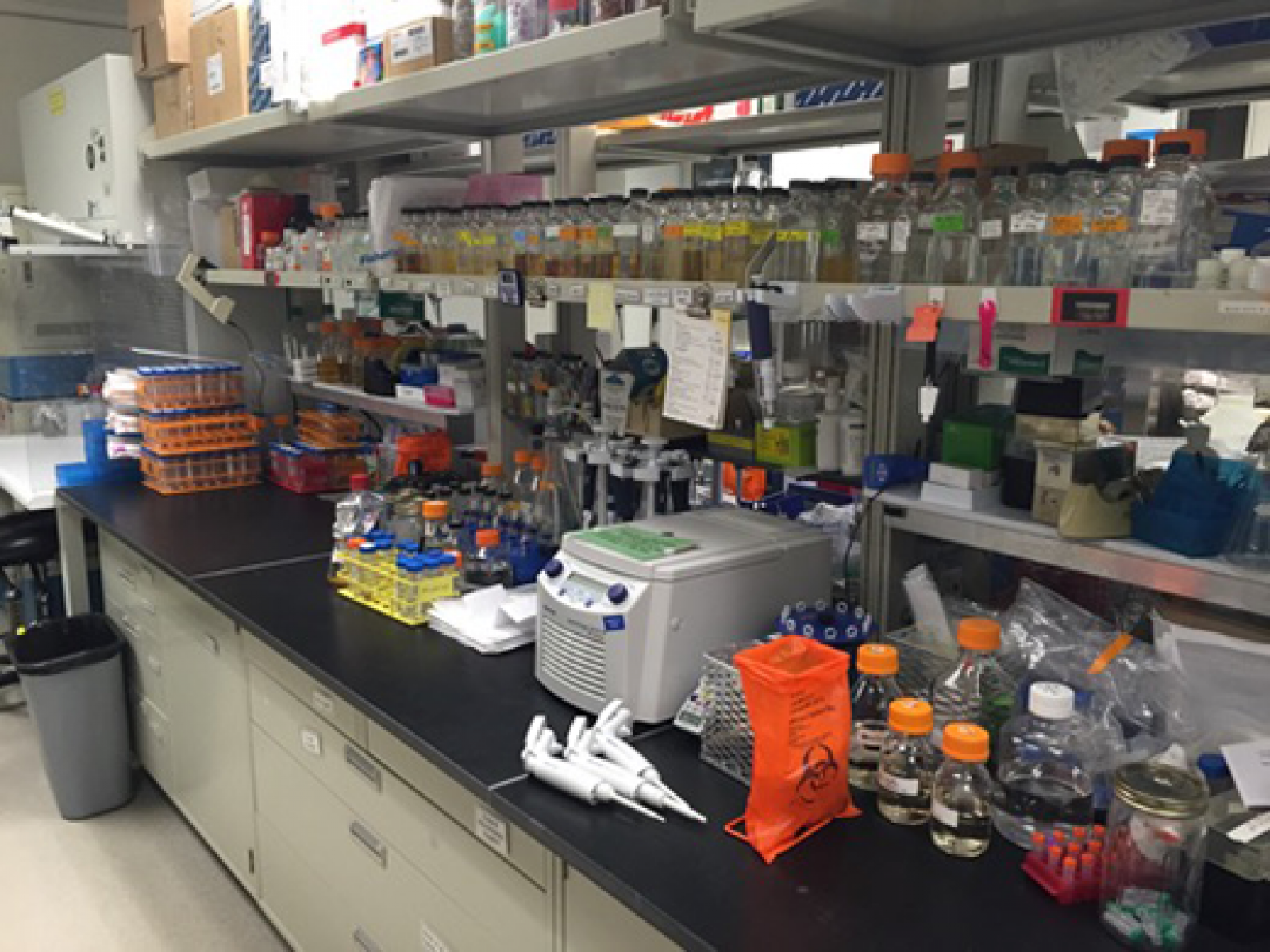 Biotechnology Laboratories at MCRL PNNL
