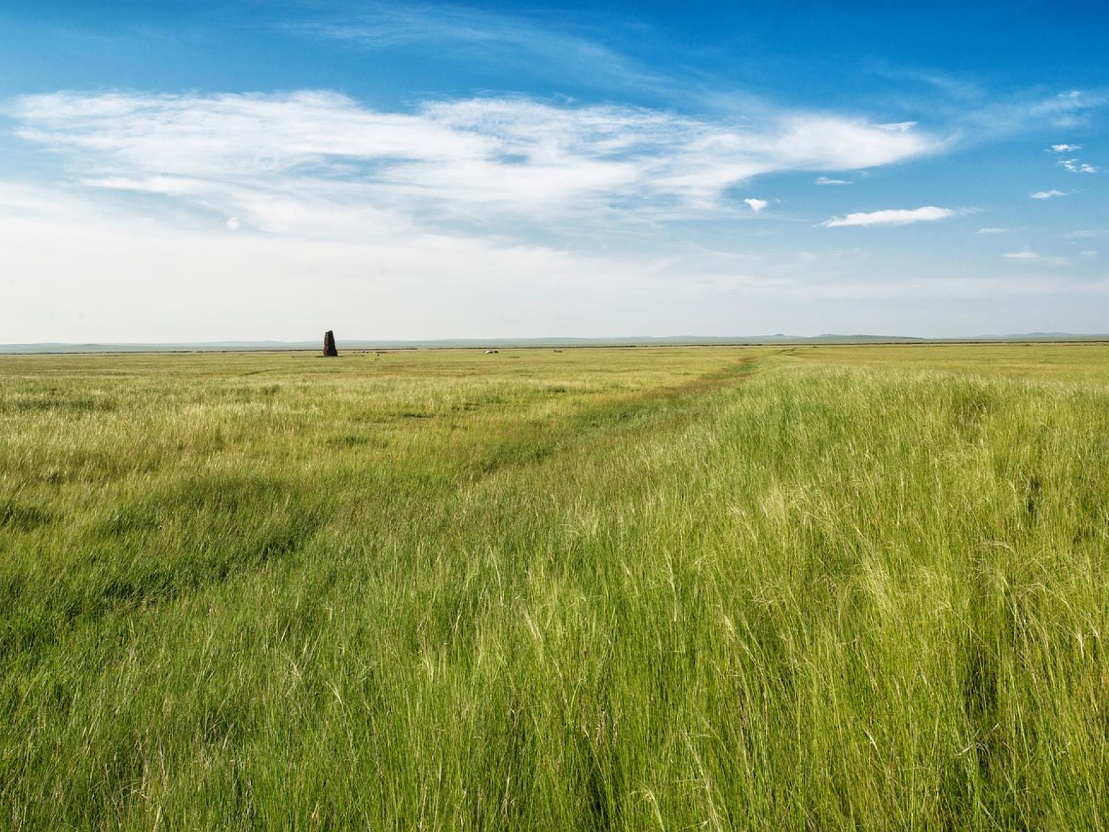 open plains with sky overhead