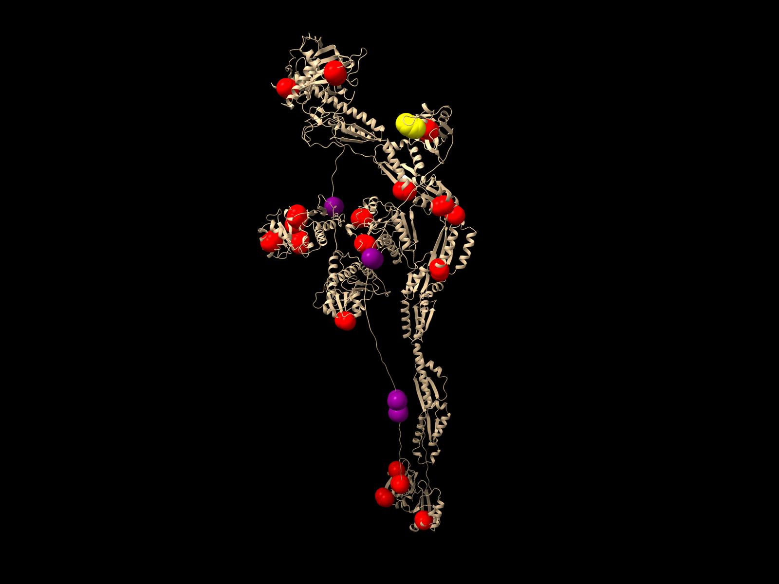 Researchers Develop New, Integrative and Automated Approach to Identify Multiple Types of Protein Modifications