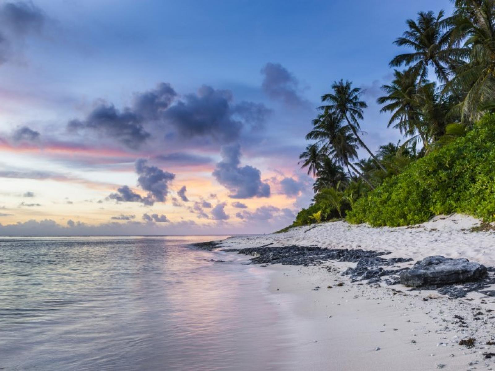tropical scene of sky, trees, and shoreline
