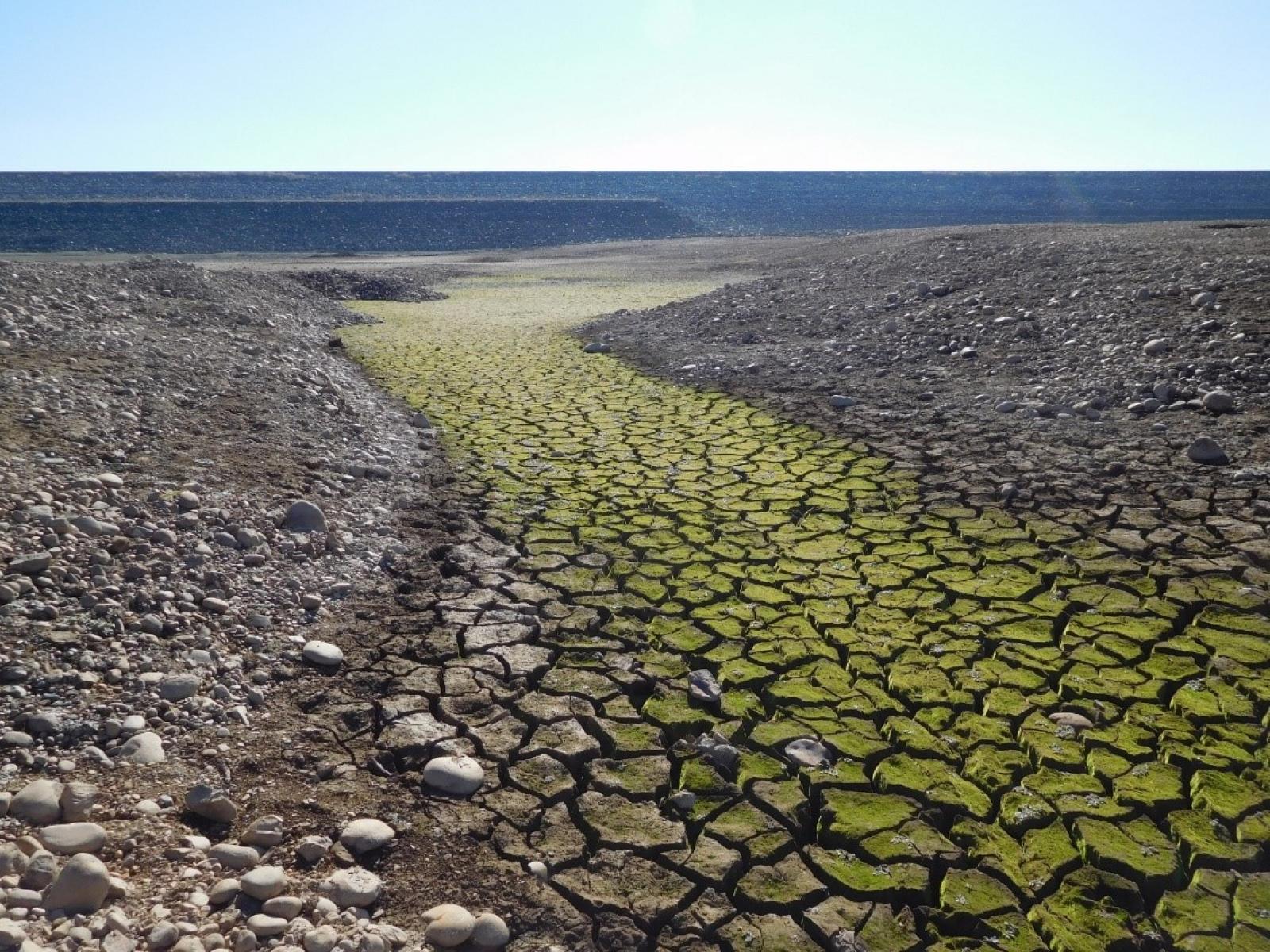 Water demand around the world is likely to rise throughout this century, potentially increasing demand-driven water stress.