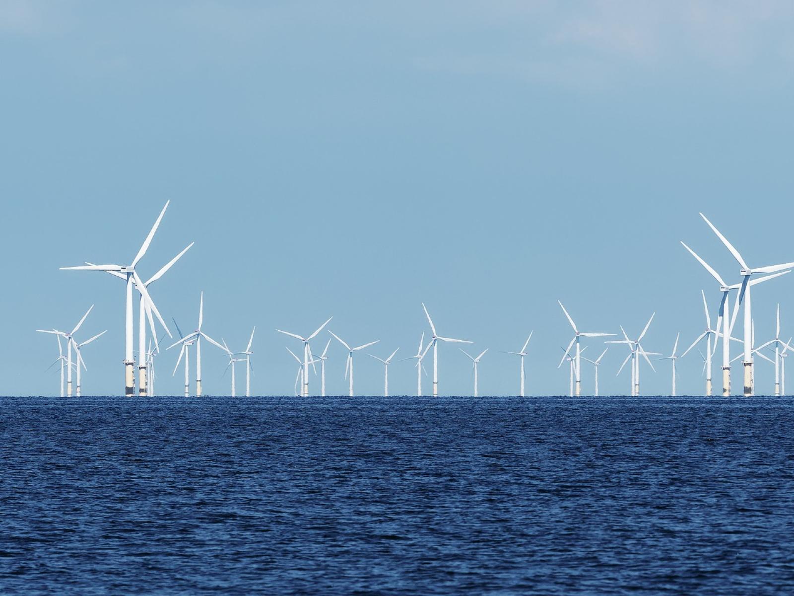 「ゴールデンセール」 Floating Offshore Wind Energy ゴールデンセール」 Floating Offshore Wind Energy ゴールデンセール