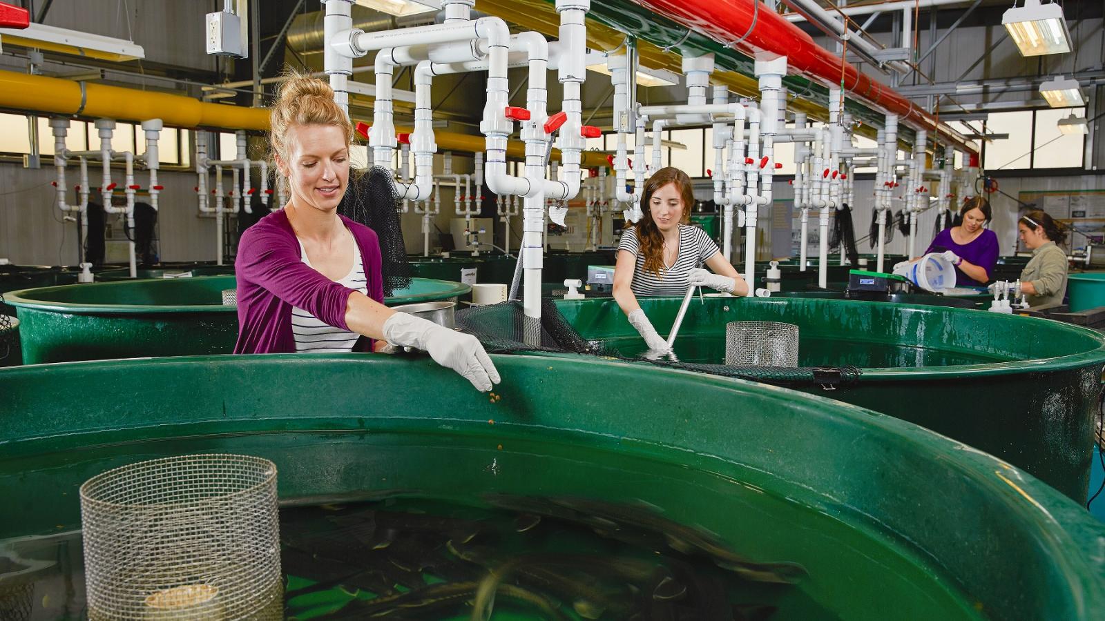 Aquatic Research Laboratory