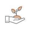 Companies with Roots