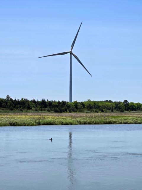 distributed-wind-gallery-photo-2025-01