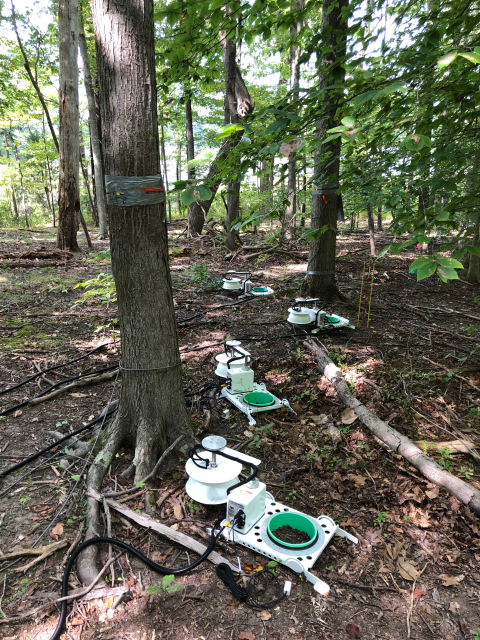 Instruments for measuring soil-atmosphere flux data by trees in a wooded area