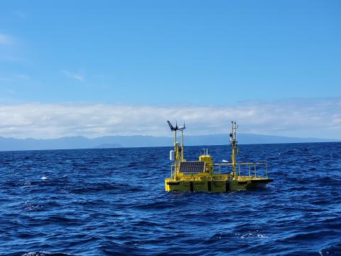 yellow buoy on ocean