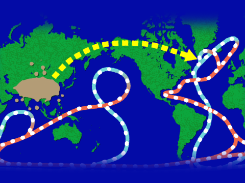 Illustration of a map of the Earth, showing outlines of the oceans and continents. A dark oval over southern Asia represents pollution, with an arrow pointing to the Atlantic Ocean. Lines with circles inside of them represent the flow of cold and warm water moving across the oceans.