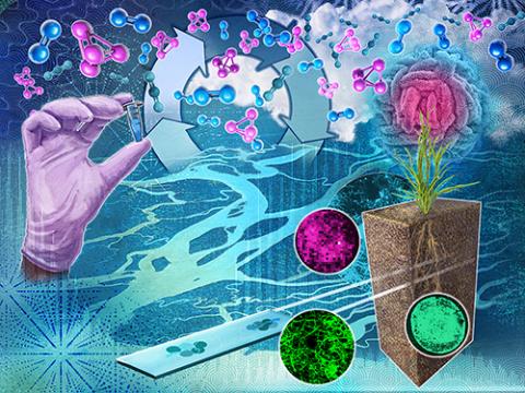 Biogeochemical Transformation composite image