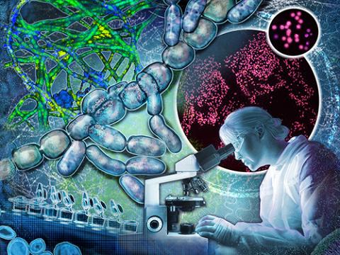 Cellular Dynamics composite illustration