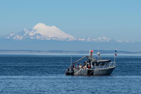 Triton team conducting research at PNNL-Sequim.