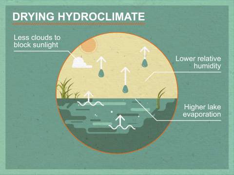 Schematic visually representing what happens in a drying hydroclimate, described in main text