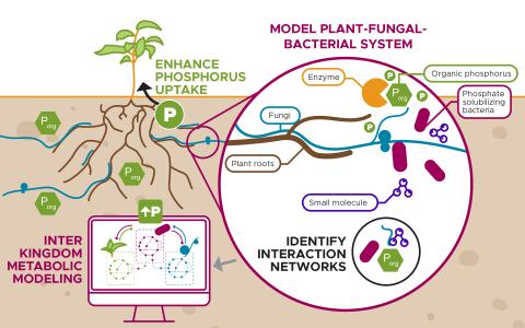 Illustration of Sneha Couvillions PPI project