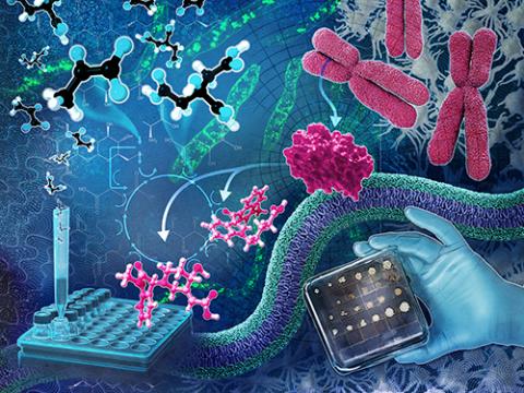 Functional Omics composite illustration