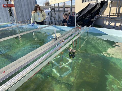 Triton researchers conduct dose experiments 